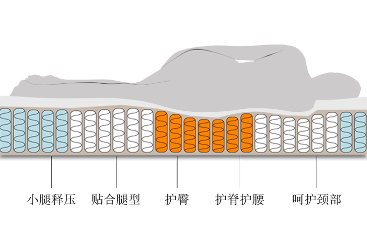 2022素材12.jpg